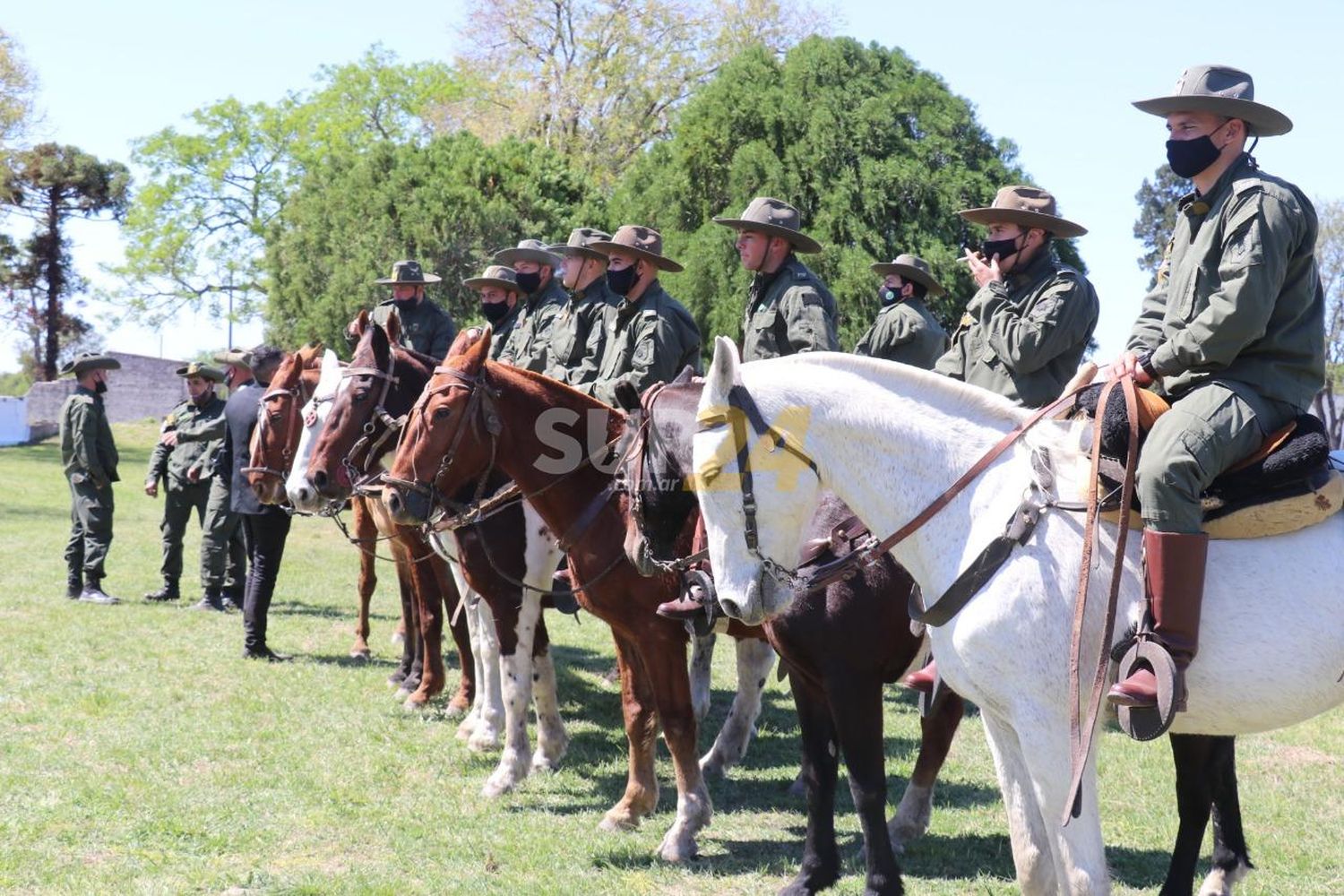 Los Pumas imputaron a 615 personas por delitos rurales en el mes de mayo