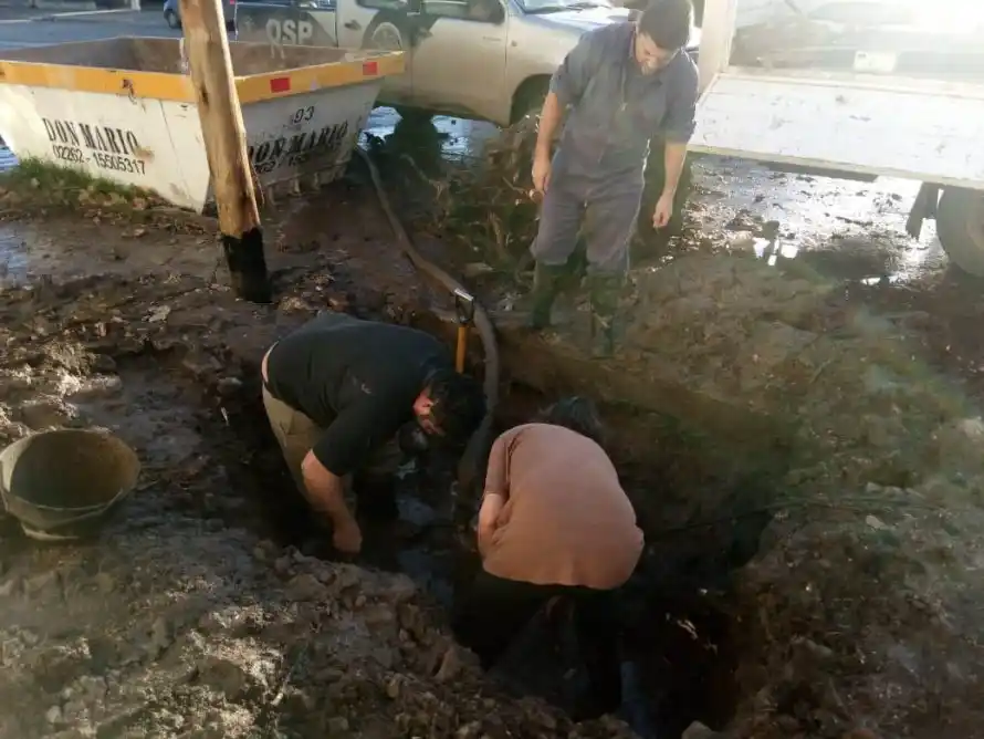 Por sacar una raíz dejó a los vecinos sin agua