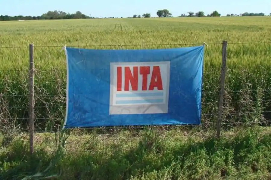 El Gobierno anunció la modernización del INTA