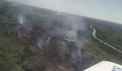 La Corte condenó a Nación, provincias y municipios por las quemas en el Delta del Paraná