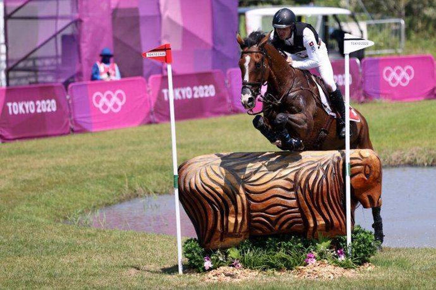 Sacrifican a un caballo que resultó herido