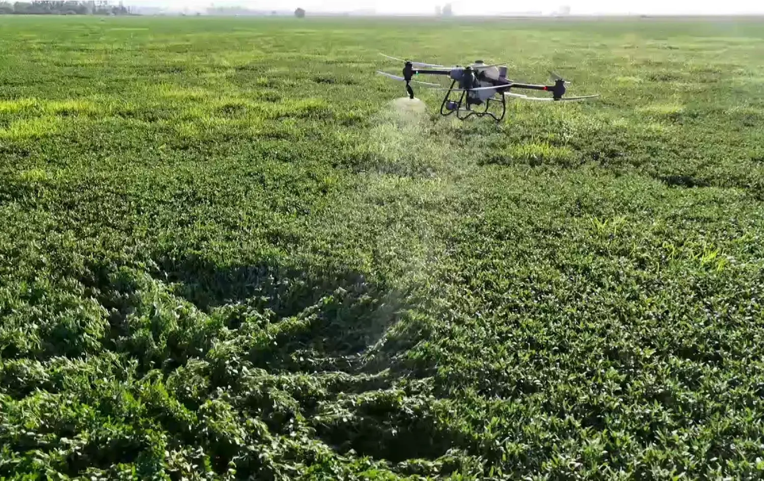 Los drones del agro tienen su encuesta nacional