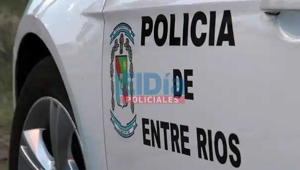 Se robó un parabrisas y una batería: fue detenido por la Policía 