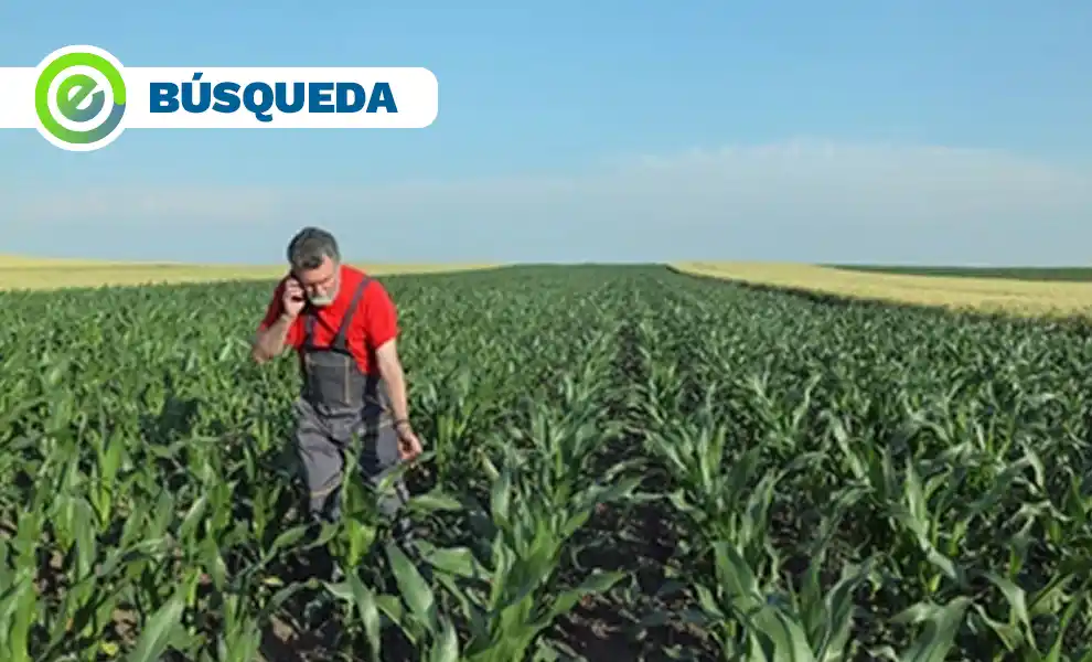 Se busca encargado para campo