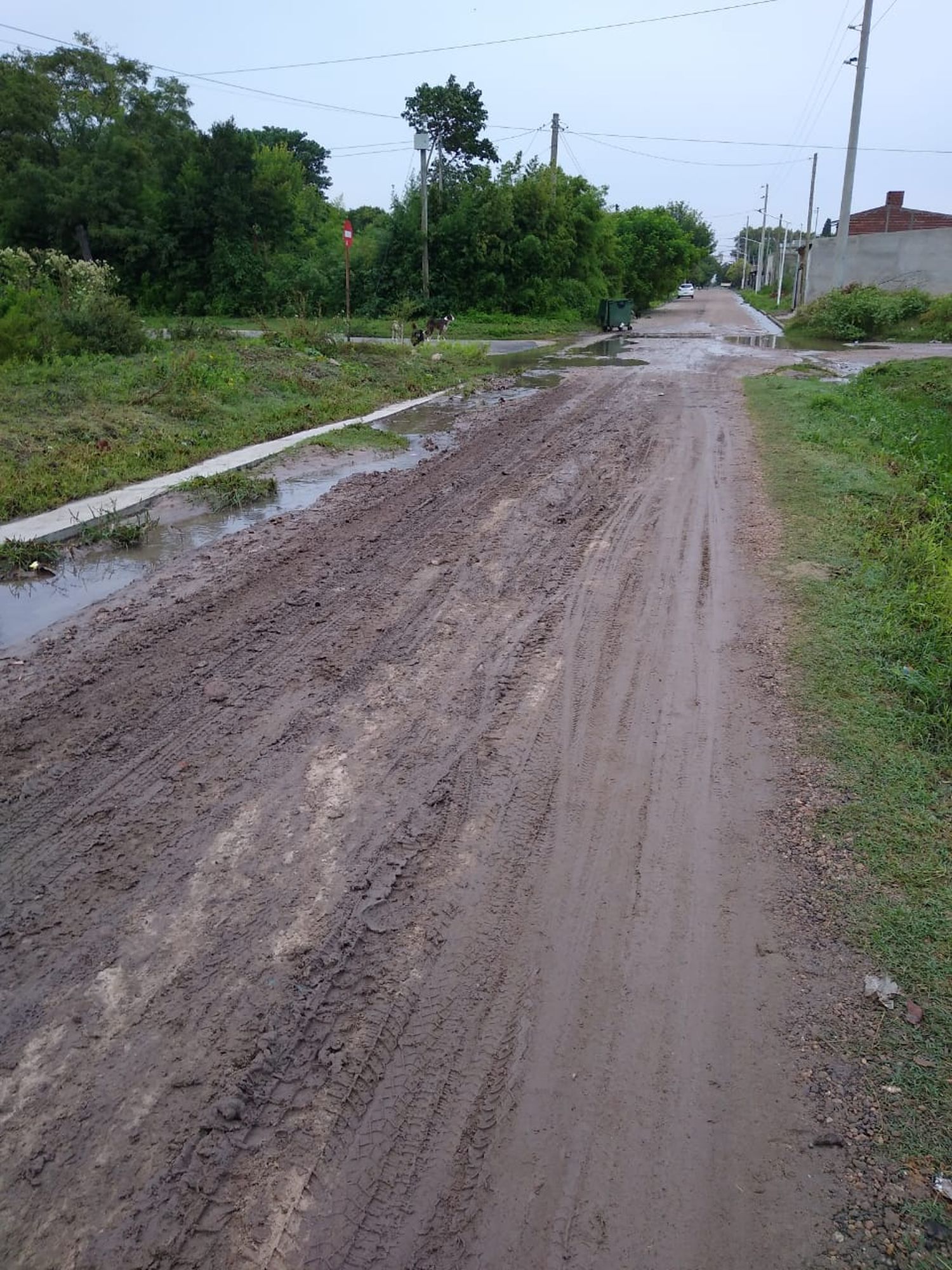 Reclamo por pérdida de agua en la vía pública