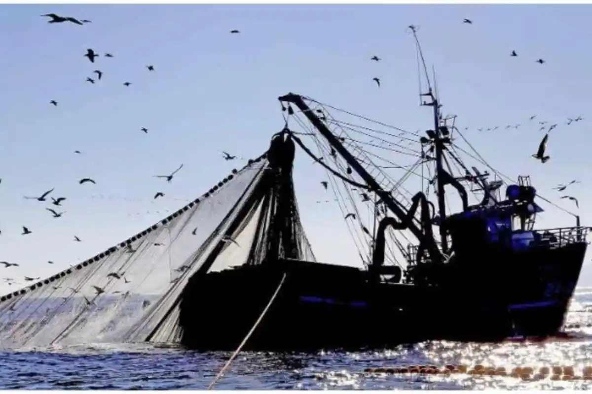 Por estos motivos, Prodesur denunció un oligopolio en el reparto de la merluza negra y la pérdida de la garantía de libre competencia. Un tema que preocupa a la Casa Rosada.