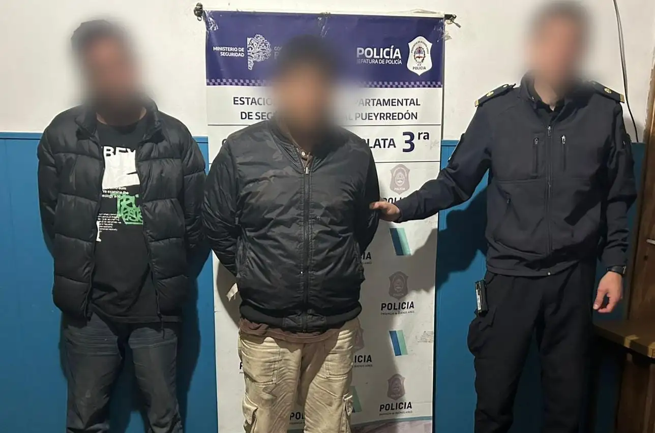 Los sujetos rompieron los vidrios de un auto estacionado para cometer su delito.