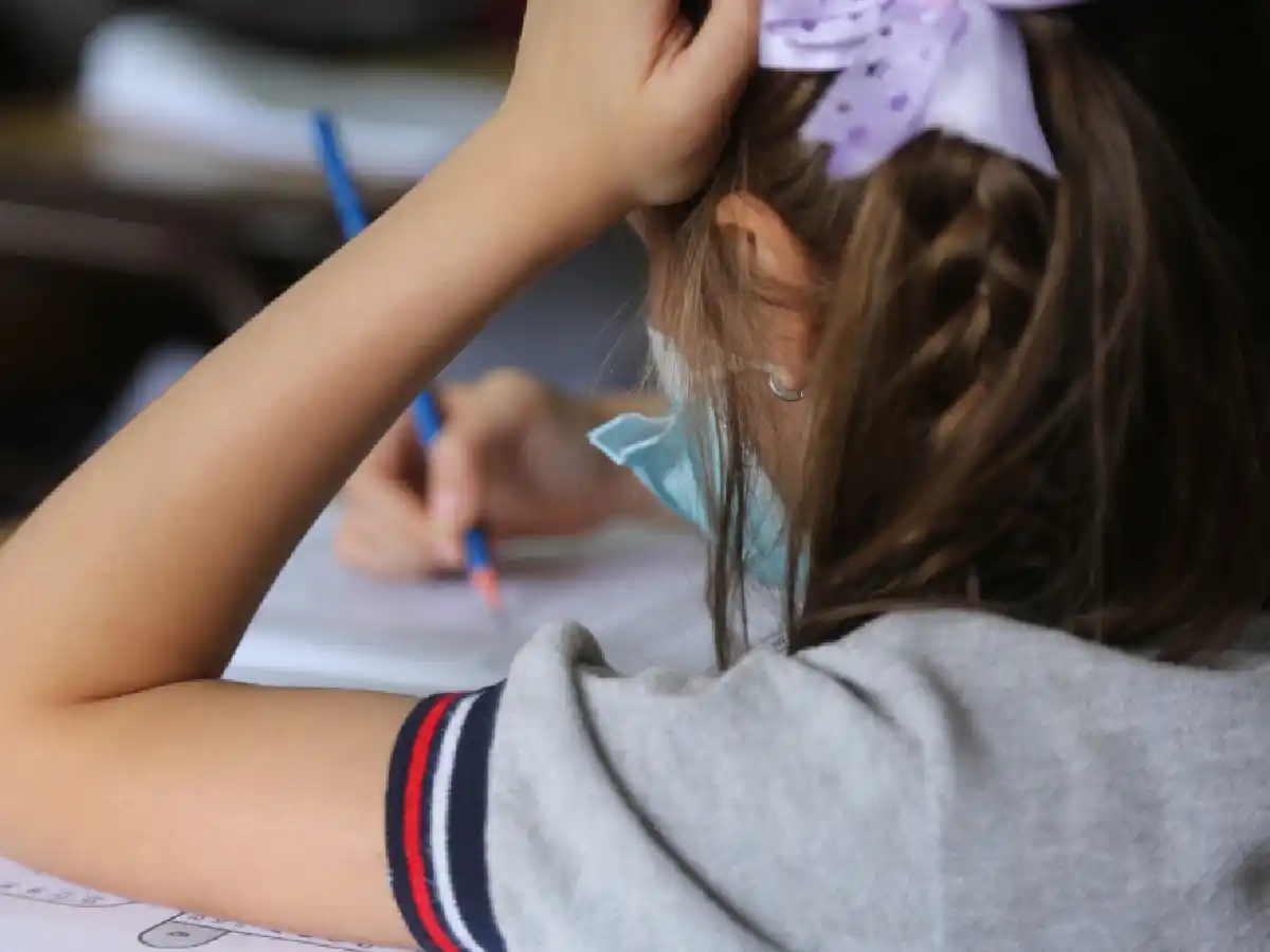 Pruebas Aprender en Córdoba: retroceso en Lengua tras impacto pandémico