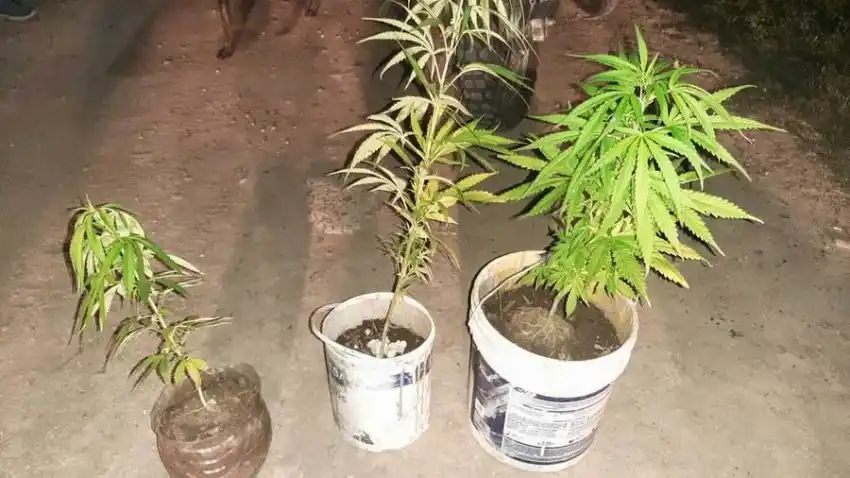 La Policía multiplicó sus intervenciones en la lucha contra el narcomenudeo