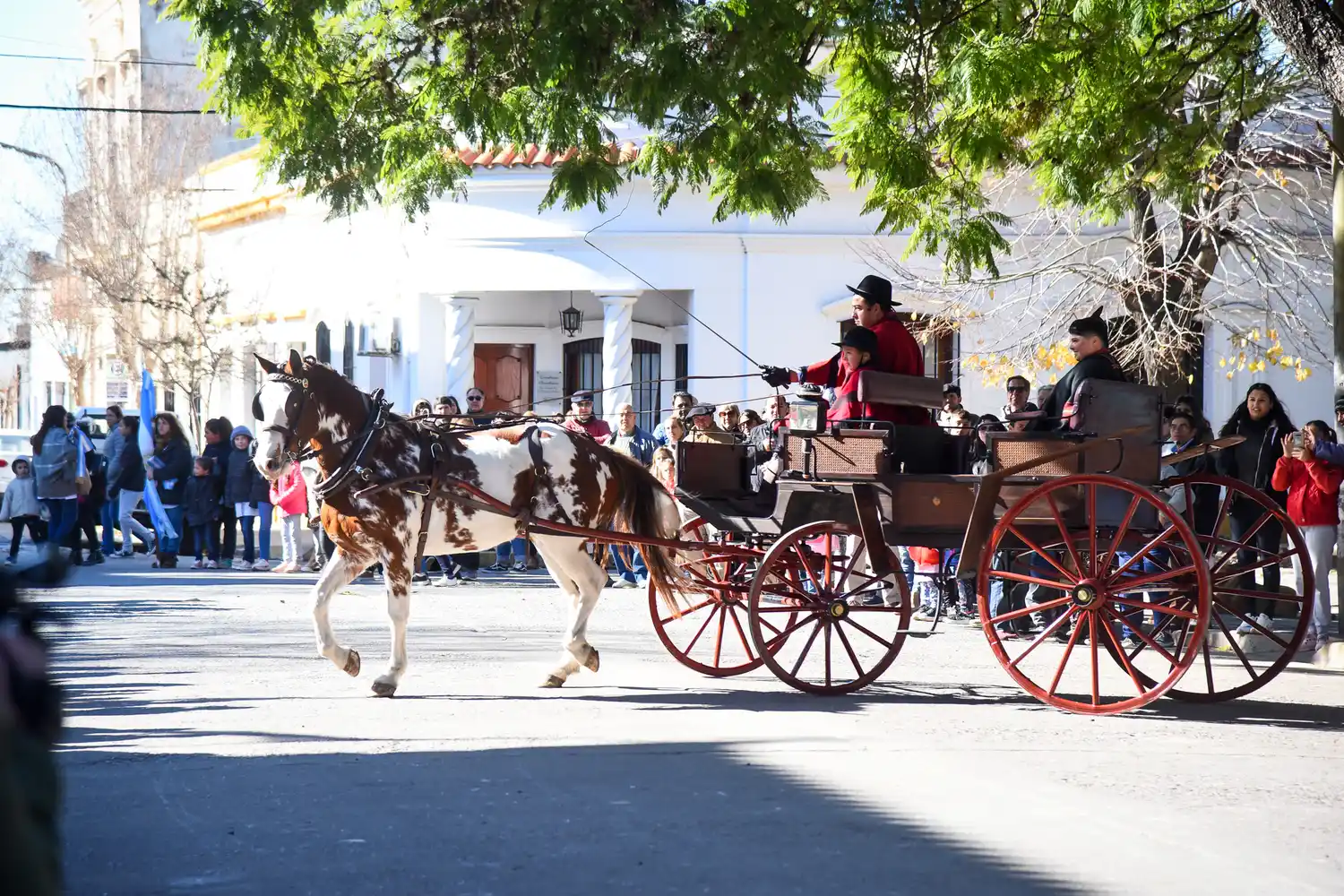 Con una plaza criolla se celebrará el Día de la Independencia en Chascomús