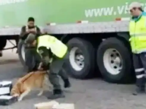 Ratifican procesamiento, preventiva y embargos a acusados de transportar droga de Misiones a Concepción del Uruguay