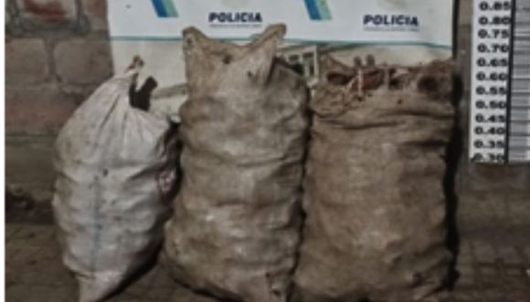 Detuvieron a cuatro personas con bolsas de batatas dentro de un campo, entre ellos un menor de edad