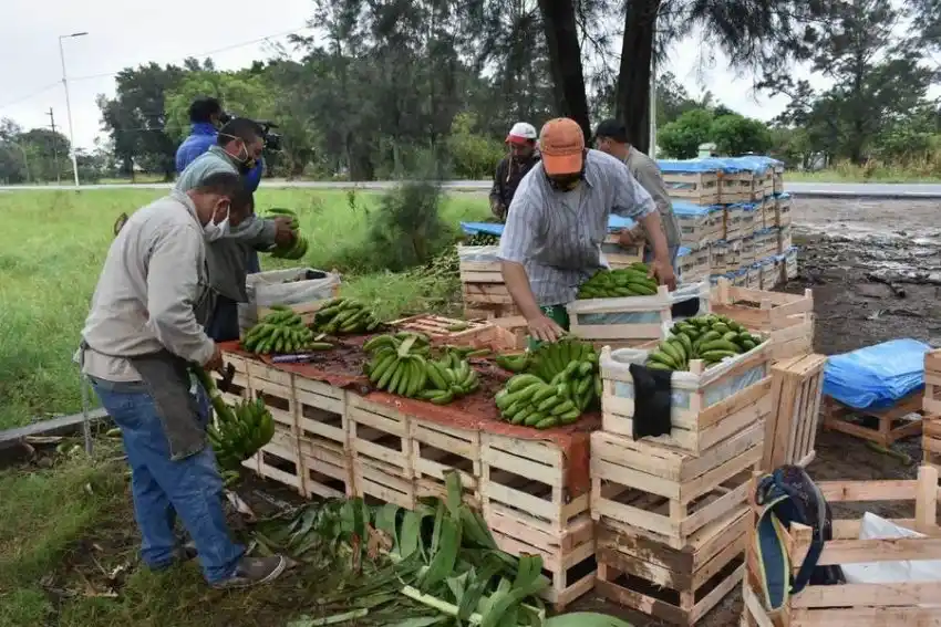 Raúl Quintana destacó la importancia y el crecimiento del PAIPPA a través de los años