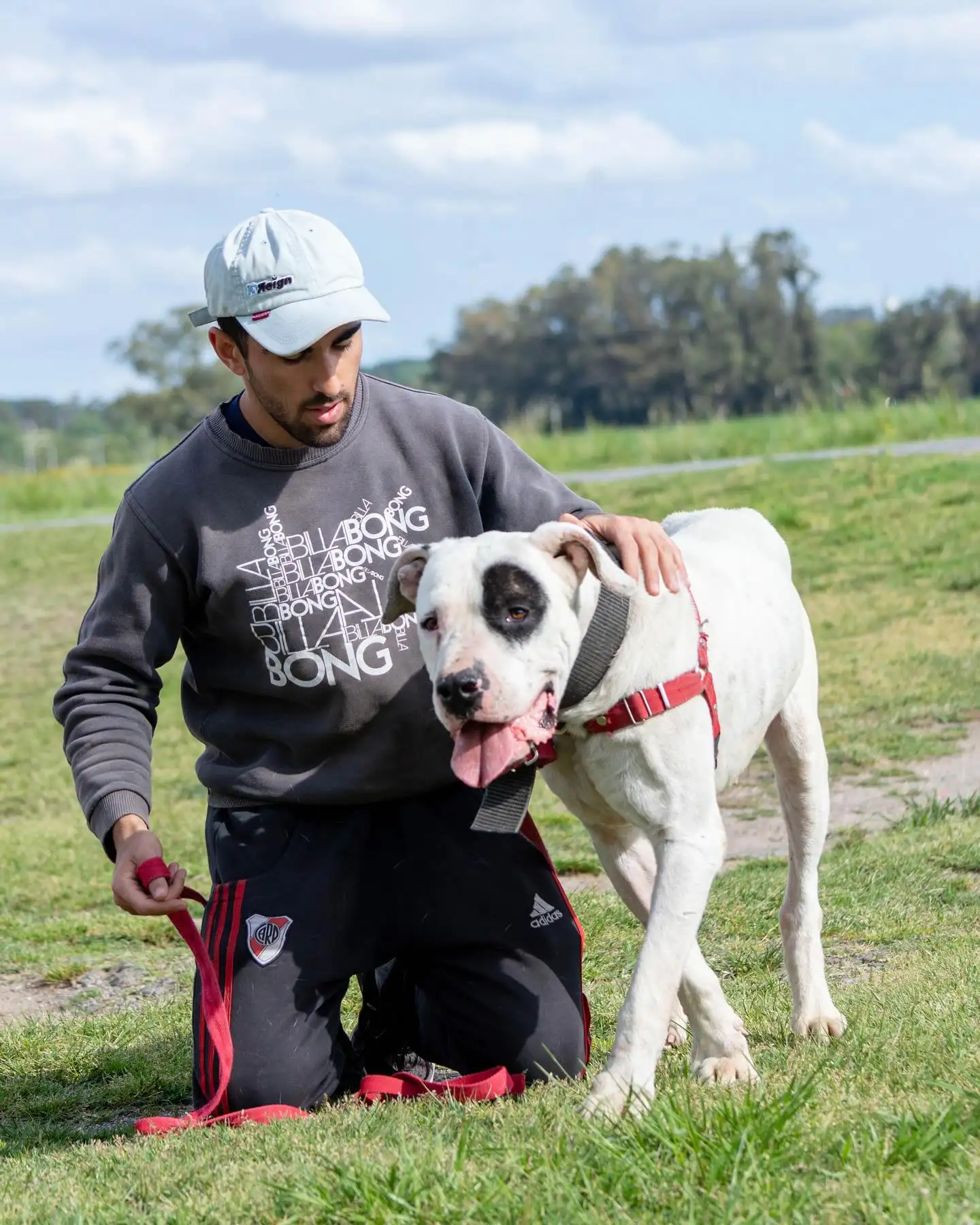 Adoptame Tandil