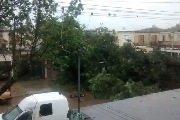 Corral sobre el temporal: “Los daños son millonarios”