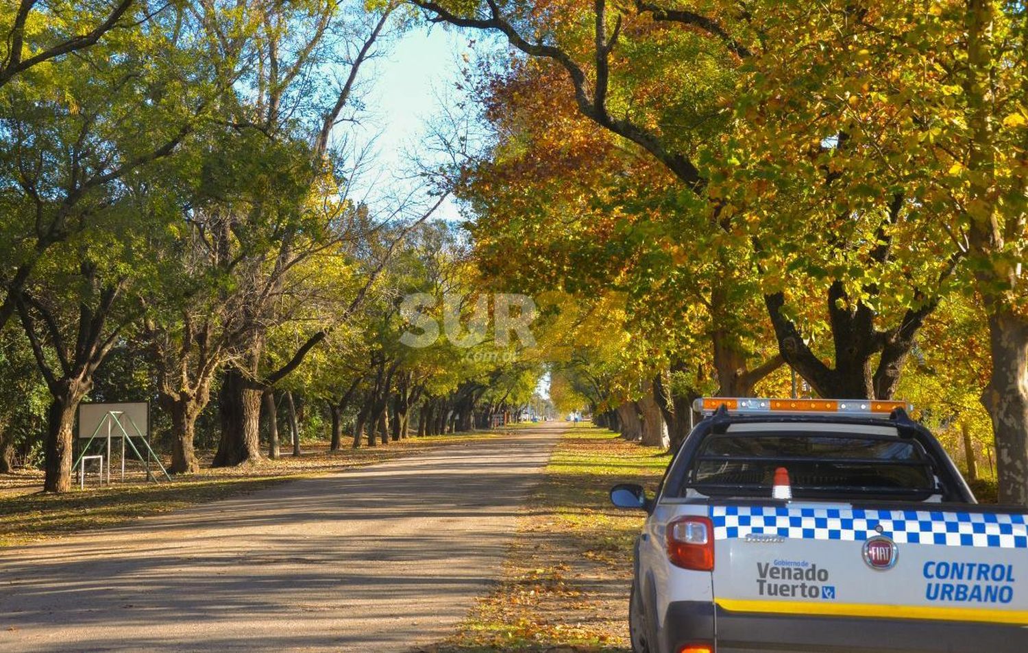 Venado Tuerto: intentó huir de un control de motos y chocó a un policía