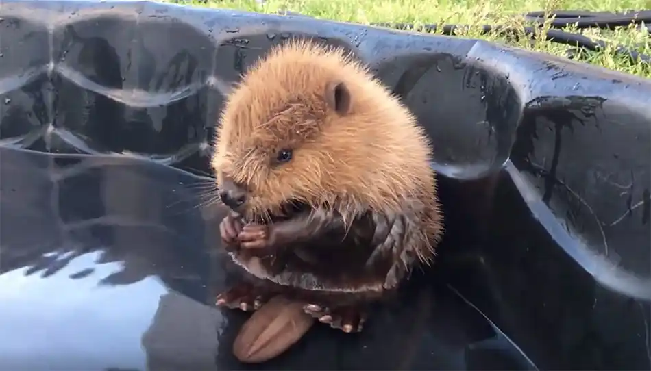 El día más esperado