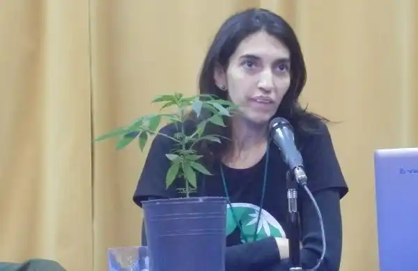 Un proyecto de la Ley de Cannabis aguarda tratamiento en el Congreso