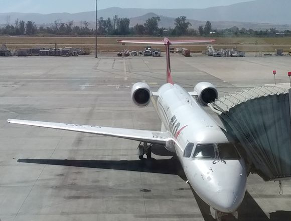 TAR Aerolíneas avanza en su recuperación operativa y económica
