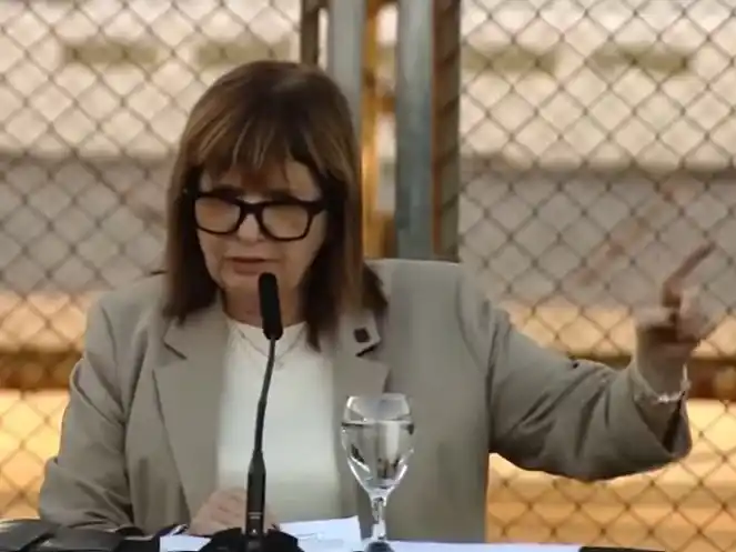 Patricia Bullrich detectó el cambio de época y tomó nota de los diversos proyectos de ley que se presentaron en el Congreso.
