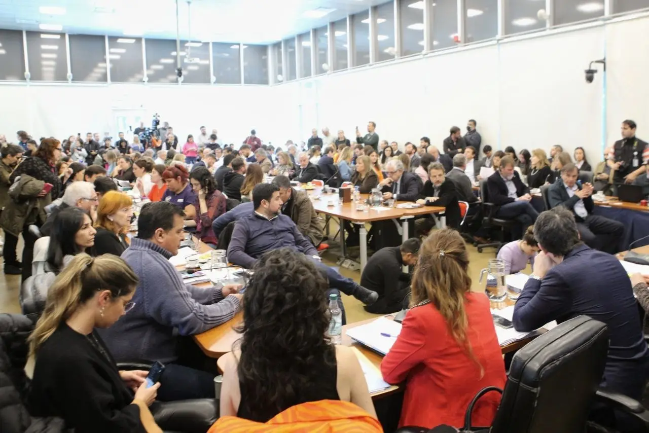 Diputados: Debaten en comisiones los proyectos para sancionar una Ley de Humedales