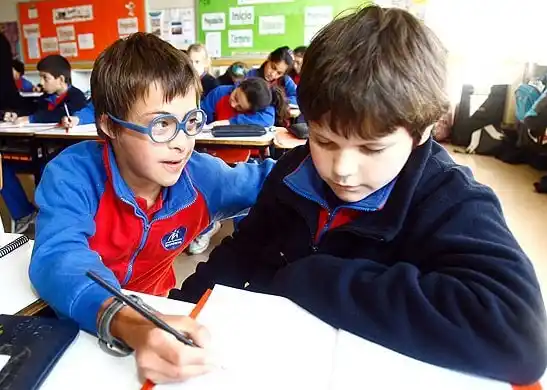 Mar del Plata: Proponen programa para la inclusión de niños con necesidades educativas especiales