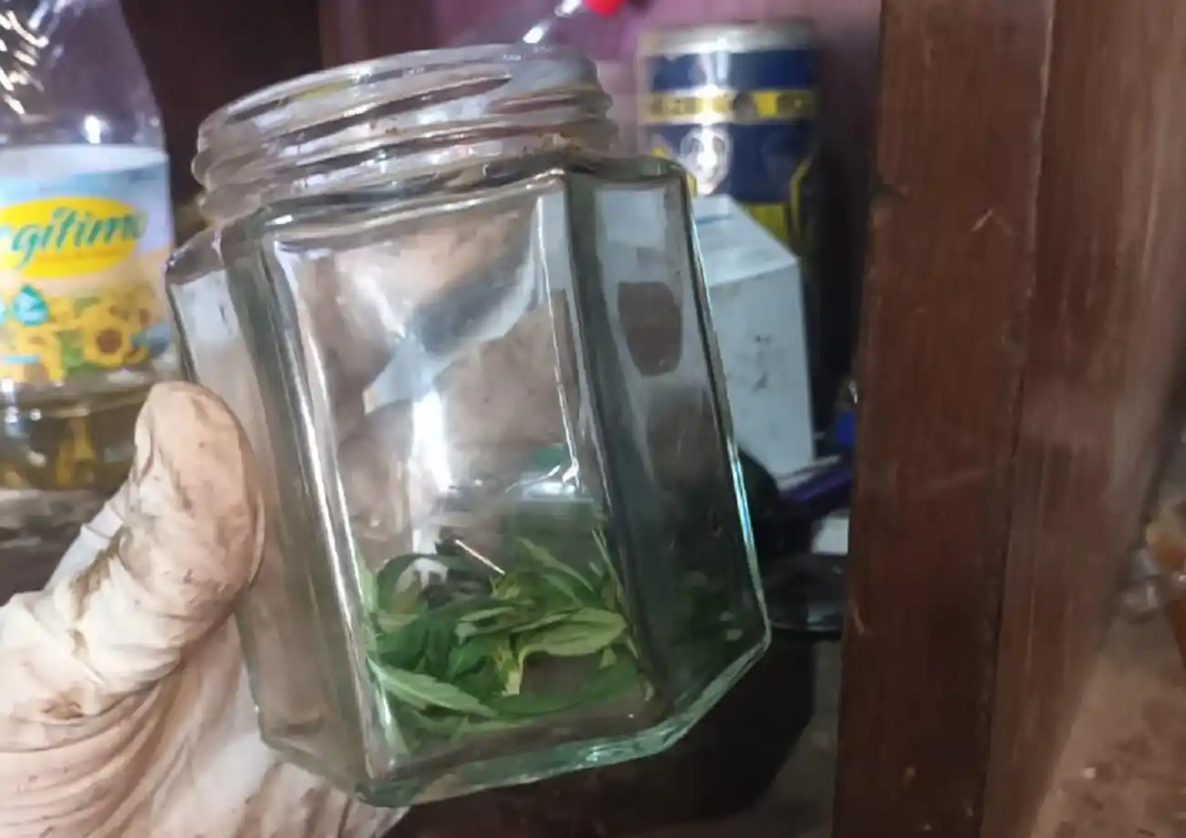 El personal de Gendarmería realizó cinco allanamiento y secuestró gran cantidad de pruebas. Foto: Fiscalía Federal.