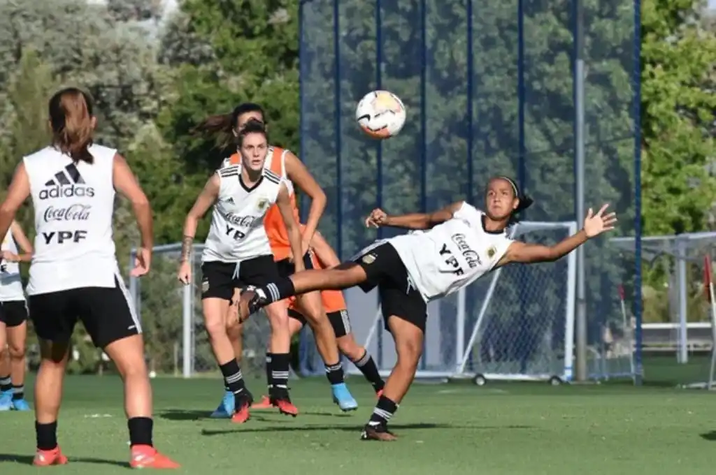 La AFA también dio por finalizado el torneo femenino