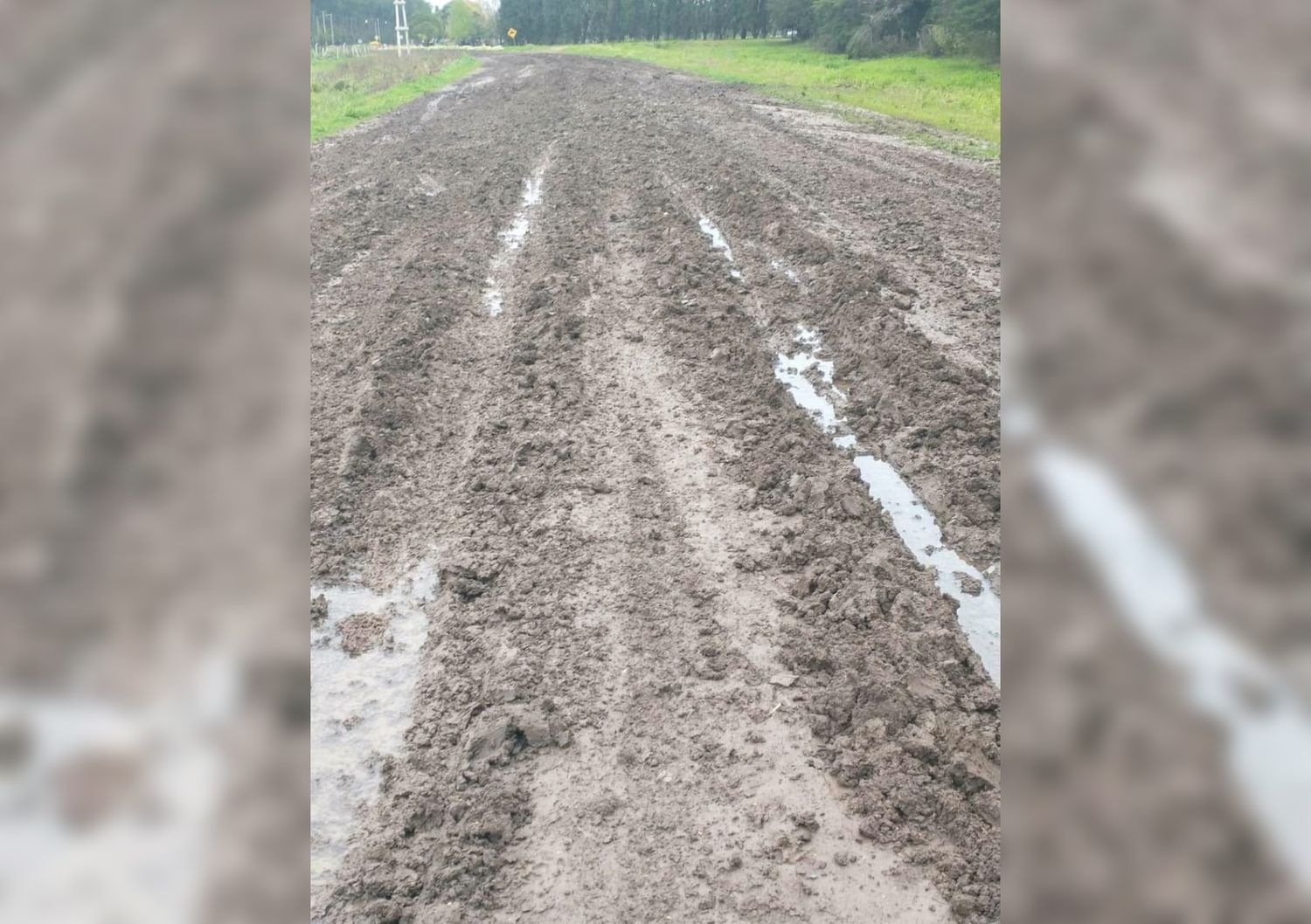 Reclamo por el camino a La Buena Moza
