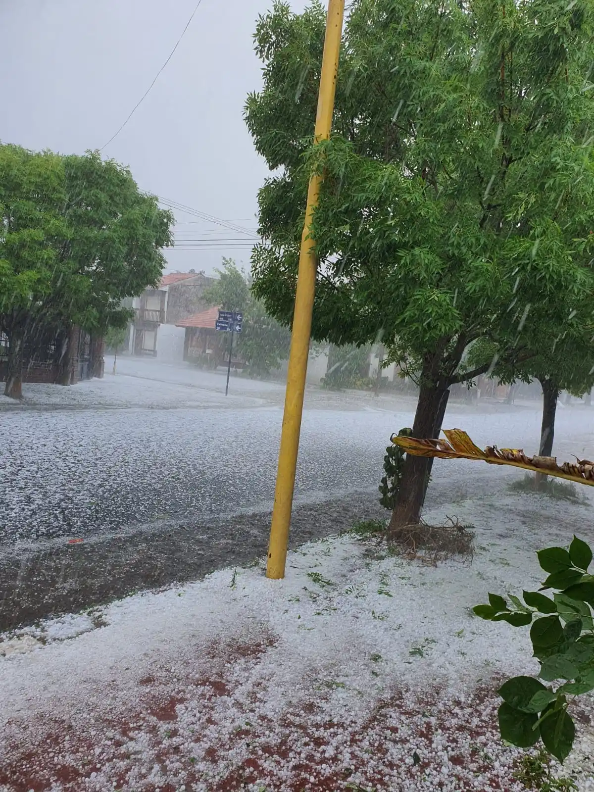 Granizó con fuerza durante varios minutos en Tres Arroyos