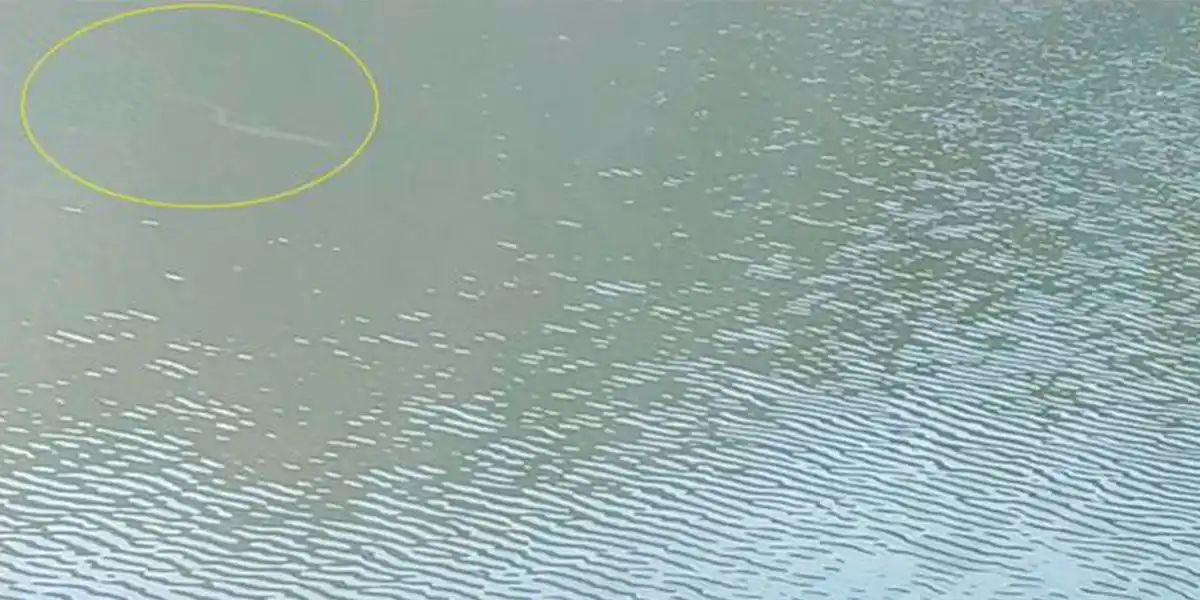 Apareció una “extraña” figura de quince metros en el lago Enol