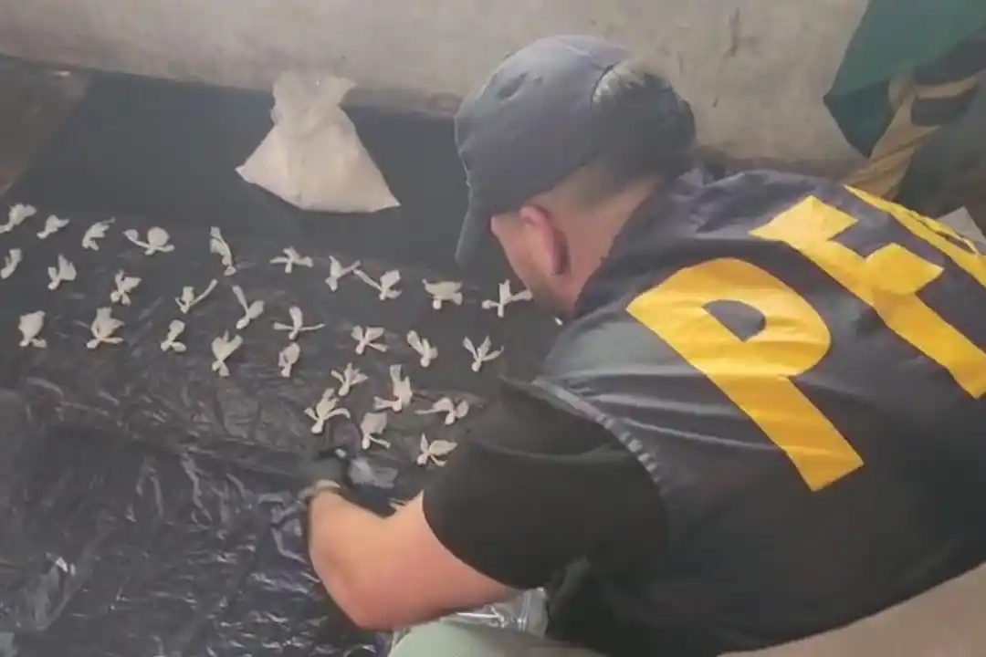 Las dosis de cocaína estaban fraccionadas para la venta.