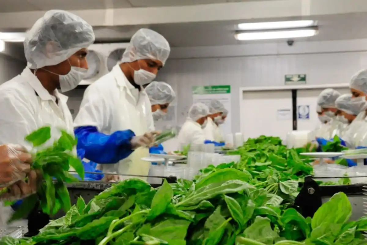 La nueva modalidad incluye diversos métodos de validación de seguridad electrónica, entre los que destaca la incorporación de tecnología blockchain para garantizar la trazabilidad y autenticidad de los certificados.