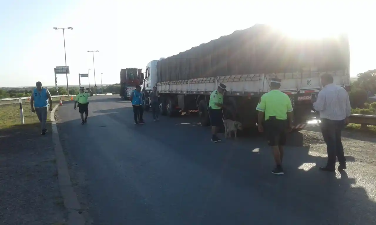 Secuestraron 2000 kilos de marihuana en la aduana de Gualeguaychú