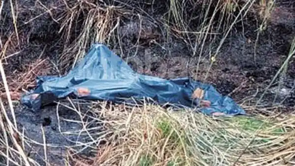 Crimen del empresario español: detalles del macabro asesinato