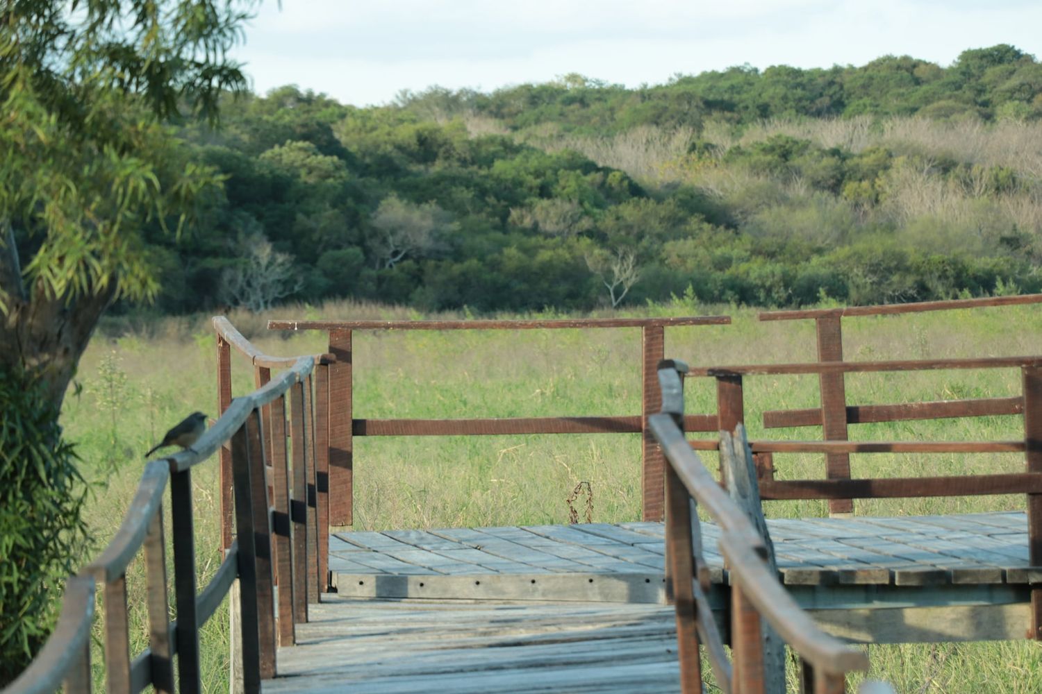Ingreso al Pre Delta sin reserva previa