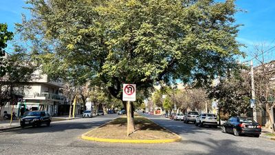 Se espera un jueves despejado: cómo seguirá la temperatura