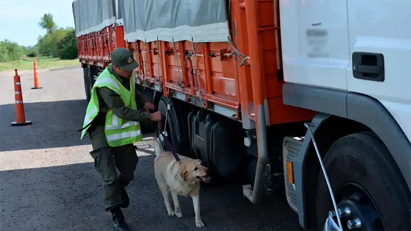 Incautaron $45 millones a un camionero