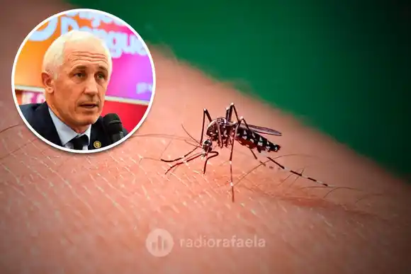 Santa Fe adquirió 160.000 vacunas contra el Dengue: “Es la primera vez en la historia”