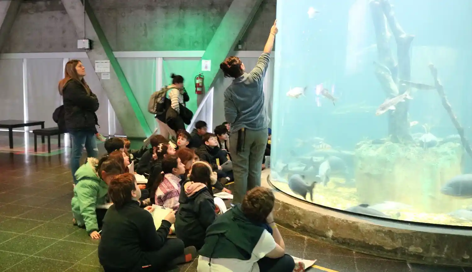 El Acuario del Río Paraná abrió la convocatoria 2026 para visitas educativas