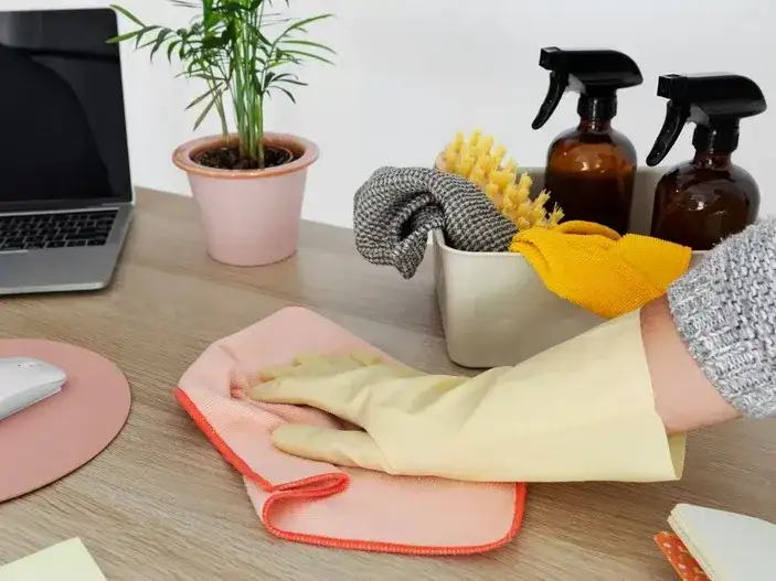 Desde mayo, el recibo de sueldo digital es obligatorio para el personal de casas particulares: cómo funciona el nuevo sistema