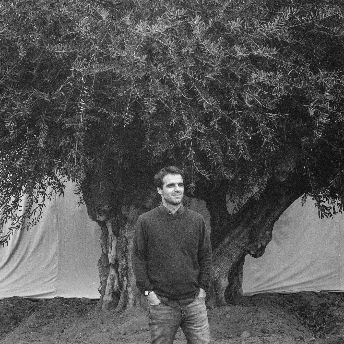 Familia Zuccardi aceites varietales con Miguel a la cabeza.