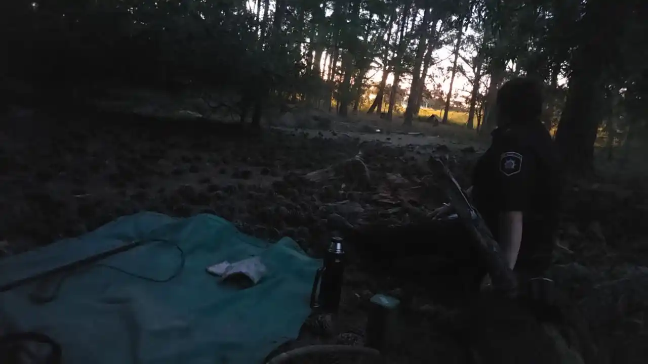 Los agentes tienen indicación de permanecer en el sitio durante la noche y custodiar el ejemplar.