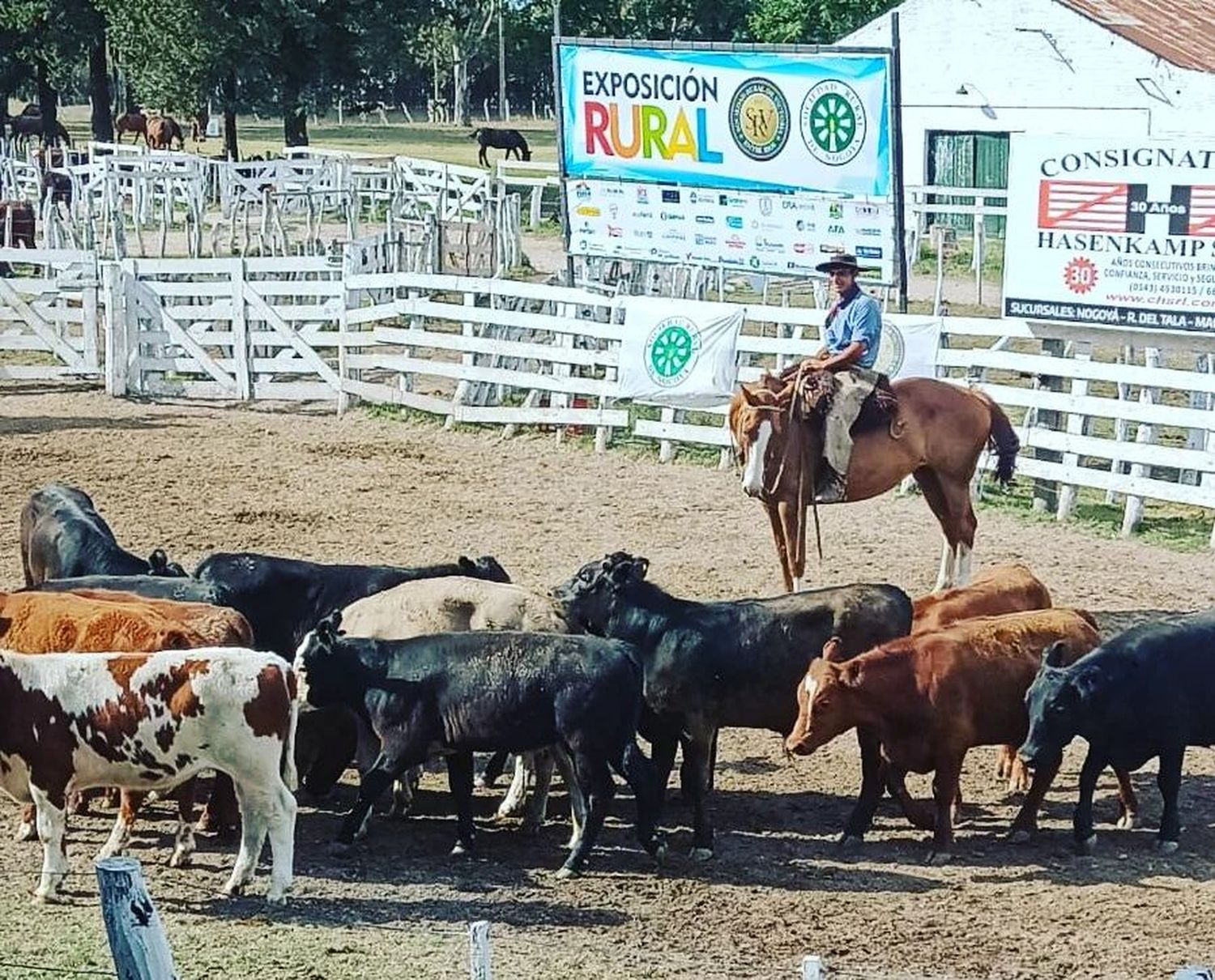 Novedades en la antesala de la Expo Victoria Nogoyá 2022