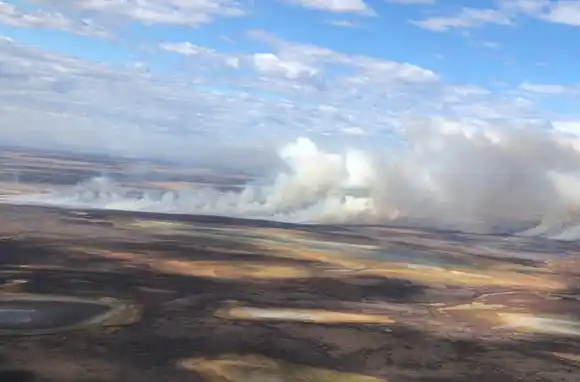 Quemas en las islas: Javkin prometió un debate de fondo sobre «responsabilidades judiciales y penales»