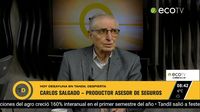 Hoy en Tandil Despierta Carlos Salgado productor asesor de seguros