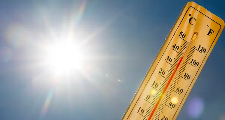 Qué dice el Servicio Meteorológico Nacional sobre la ola de calor que afecta a gran parte del país