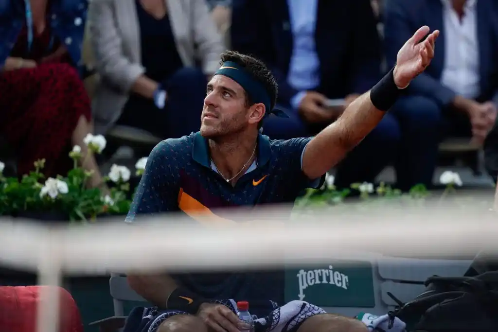 Del Potro se despidió en octavos de final en Roland Garros