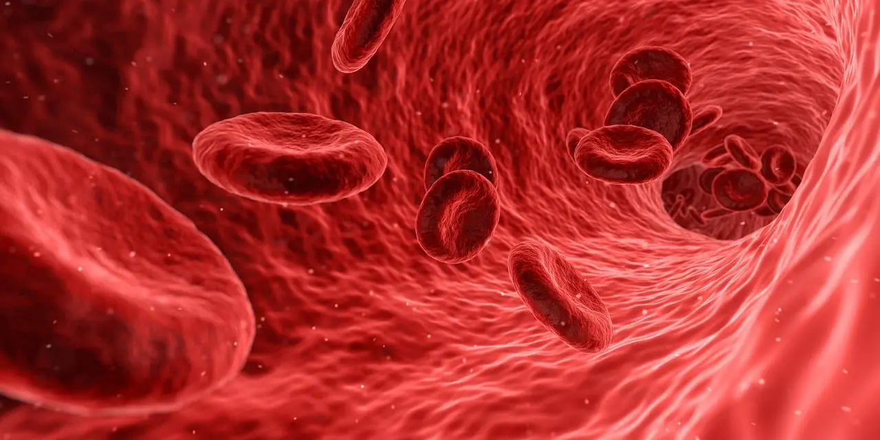 ¡ESTADÍSTICA MORTAL! Una de cada 4 personas en el mundo mueren por una trombosis