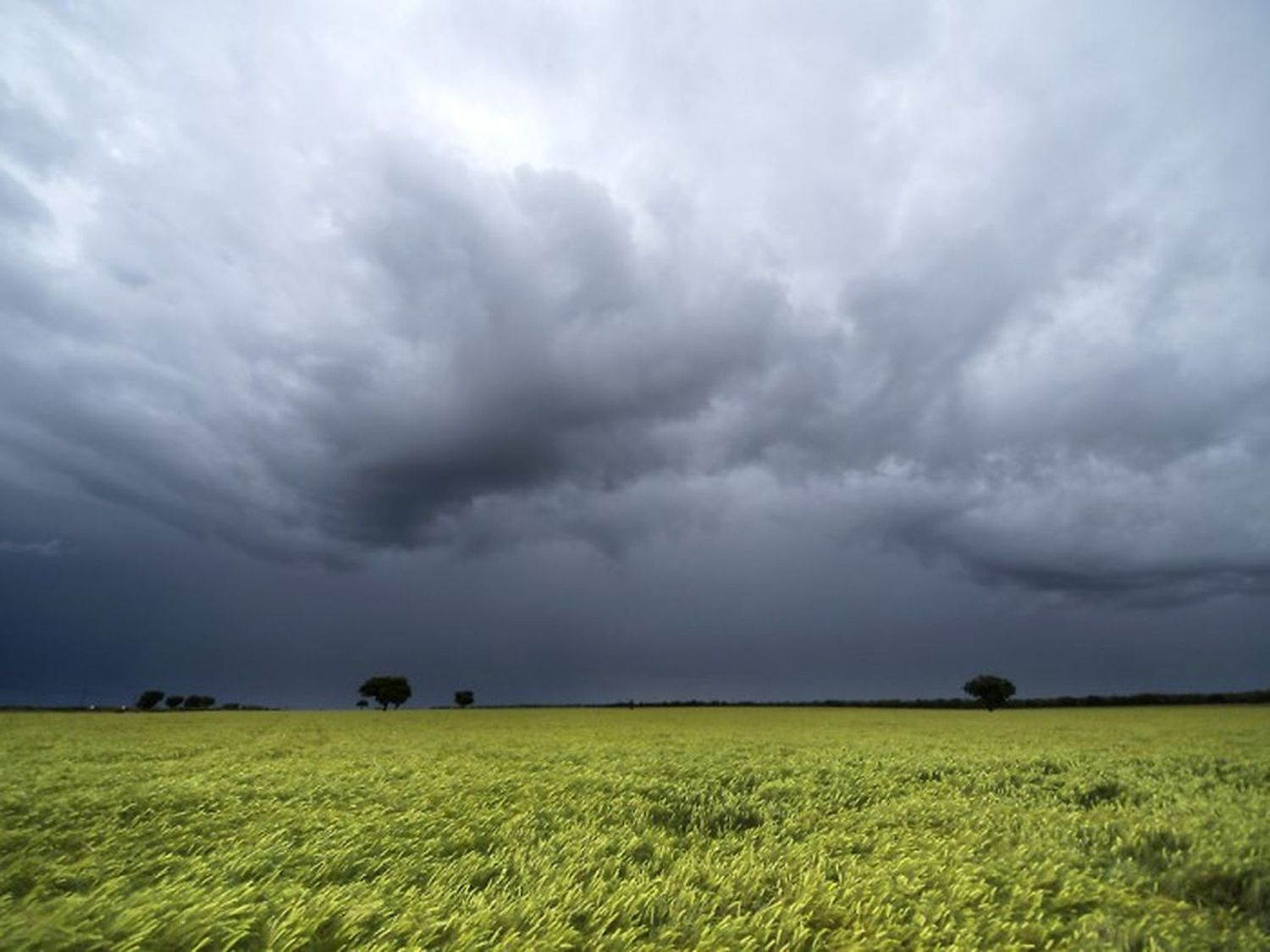 La lluvia generó alivió a los productores del norte santafesino